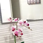Loft Sevilla 16 * אליקאנטה