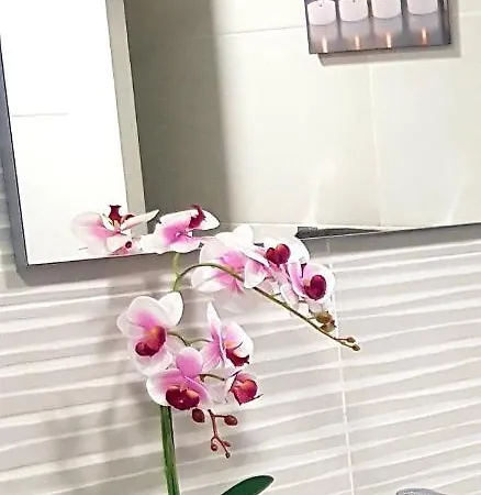 Loft Sevilla 16 * אליקאנטה